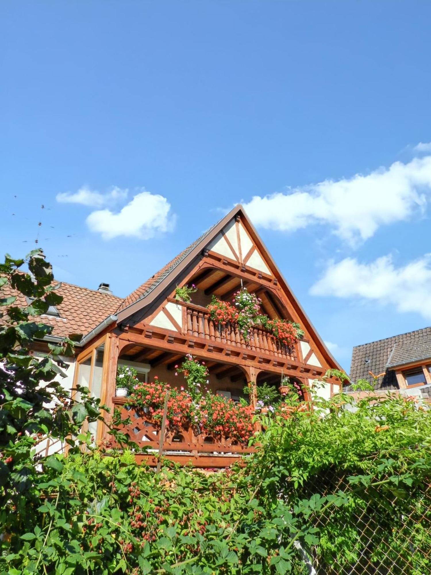 Maison Charmante Avec Vue Sur La Montagne A Triembach-Au-Val Zewnętrze zdjęcie