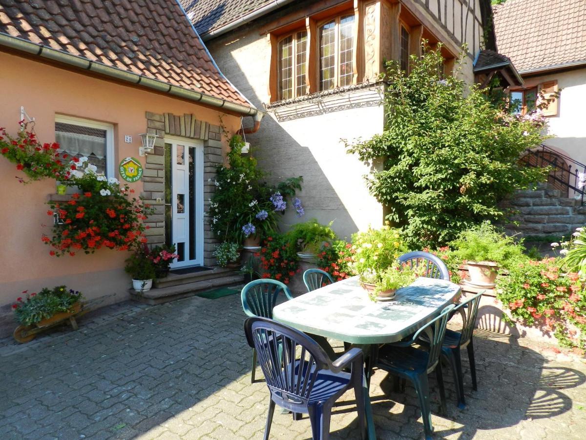 Maison Charmante Avec Vue Sur La Montagne A Triembach-Au-Val Zewnętrze zdjęcie